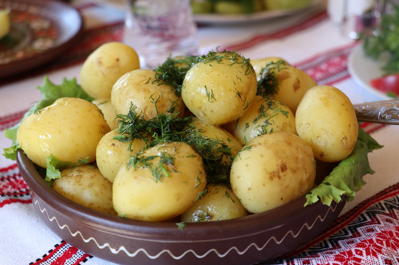 Exploring the Flavors of Classic Turkish Manti